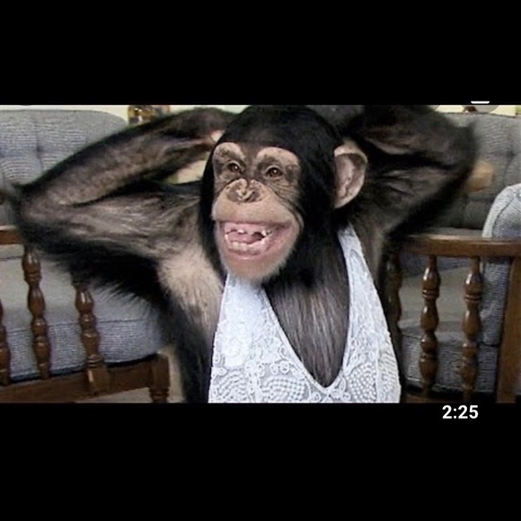 Meet your Posher, Marina - Picture 4 of 4